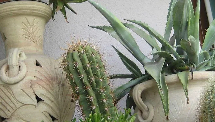 Bed & Breakfast Samuel 3*