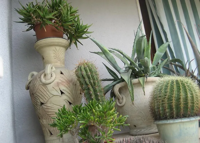 Samuel Bed & Breakfast 3*