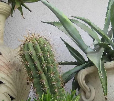 Bed & Breakfast Samuel 3*