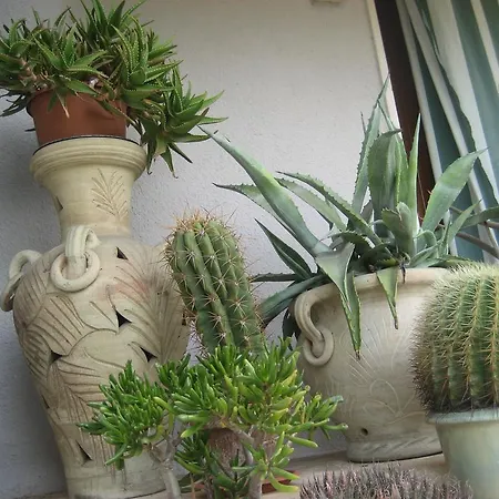 Samuel Bed & Breakfast 3*